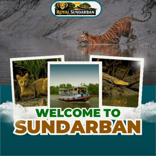 sundarban tour packages from kolkata