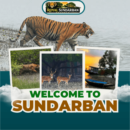 sundarban tour packages from kolkata